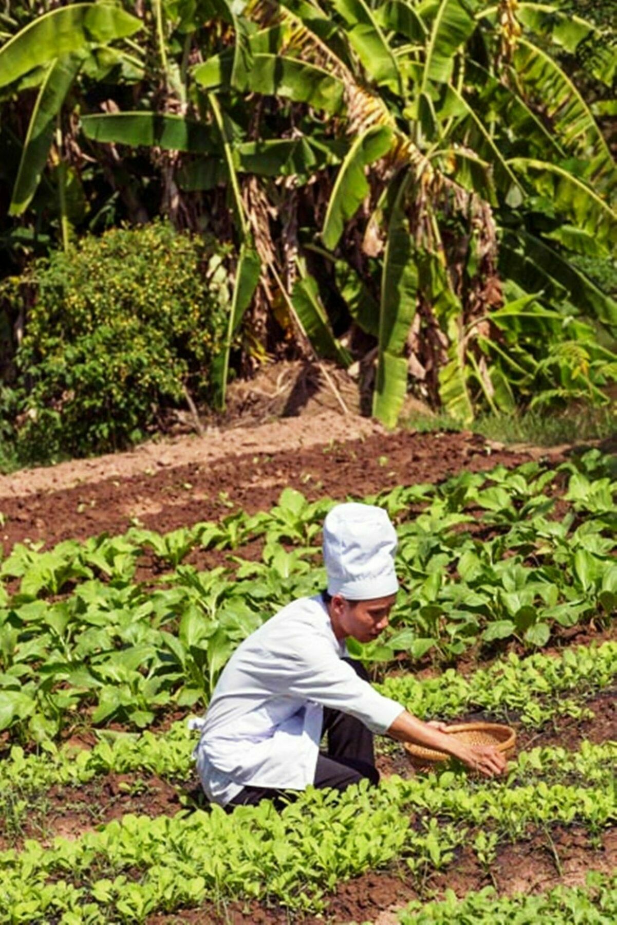 Mekong Riverside Boutique Resort & Spa Cai Be Εξωτερικό φωτογραφία